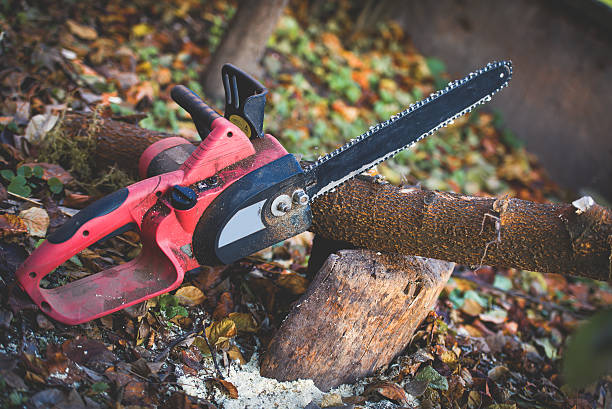 Best Firewood Processing and Delivery  in Lake Montezuma, AZ